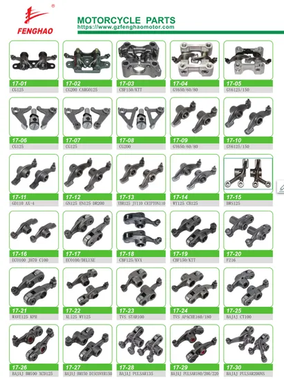 High Quality Motorcycle Part Engine Parts Rocker Arm Tvs- Sport100/Apache16