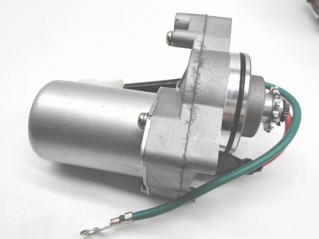 Motorcycle Starting Motor